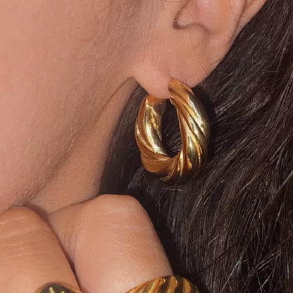  Twisted Earrings 